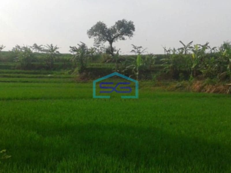 Dijual Tanah Sawah Daerah Sinargalih Bumi Mas Majalengka Luas Tanah  8820 m²