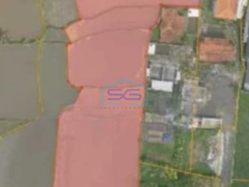 Dijual Tanah di Pejeng Ubud Gianyar Bali Luas Tanah 2600m2