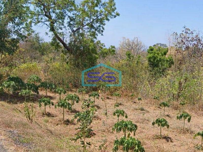 Dijual Tanah Buleleng Bali Luas Tanah 92500m2 Jual Cepat Shgb