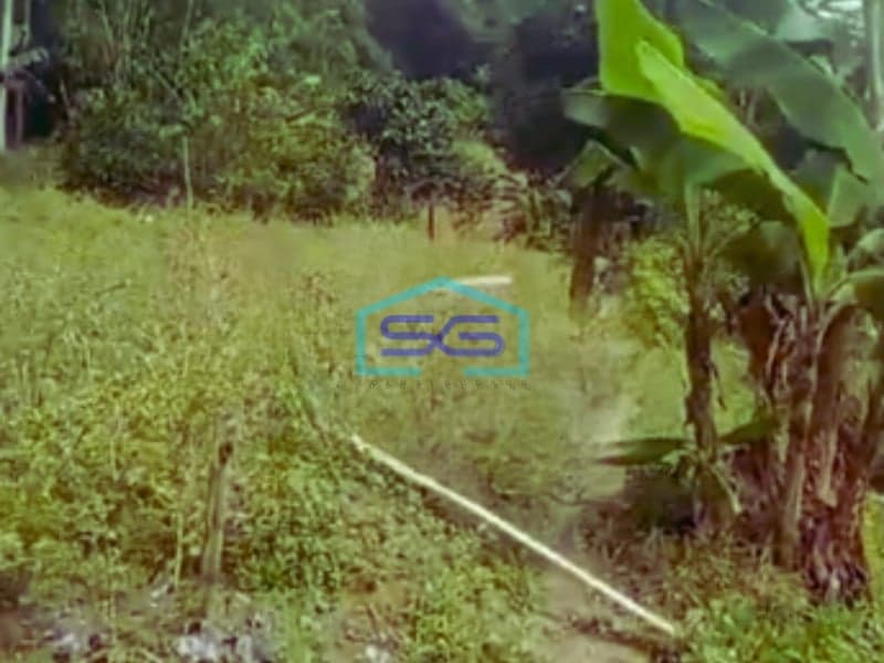 Disewakan Tanah Luas Tanah 1600m2 SHM di Citeureup Bogor