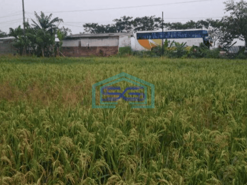 Dijual Tanah Komersil Zona Abu Abu Jalan Raya Mauk Tangerang SHM