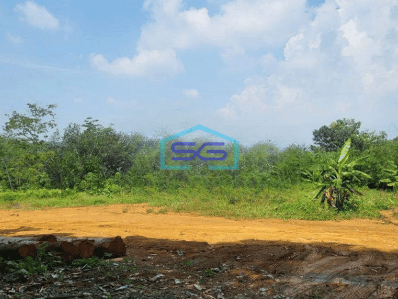 Dijual Tanah di Jatibarang Mijen Semarang Luas Tanah 1733m2 Bebas Banjir