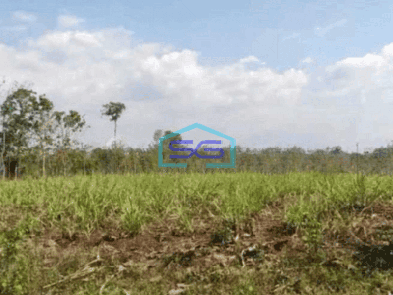 Dijual Tanah Lahan Industri Klaten SHM 6.600 m² Zona Industri 7 Menit dari Exit Tol