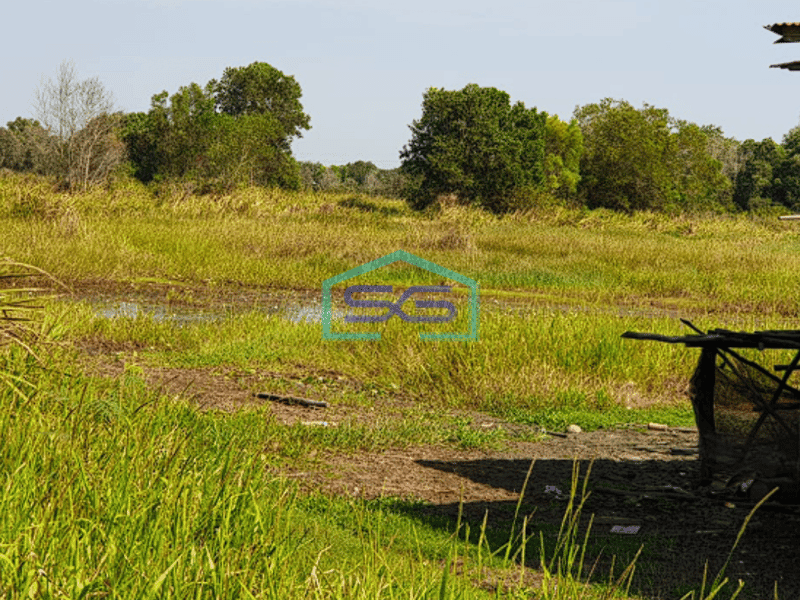 Dijual Cepat Tanah Luas di Pinggir Jalan Llintas Palembang-Indralaya, Luas 4 Ha