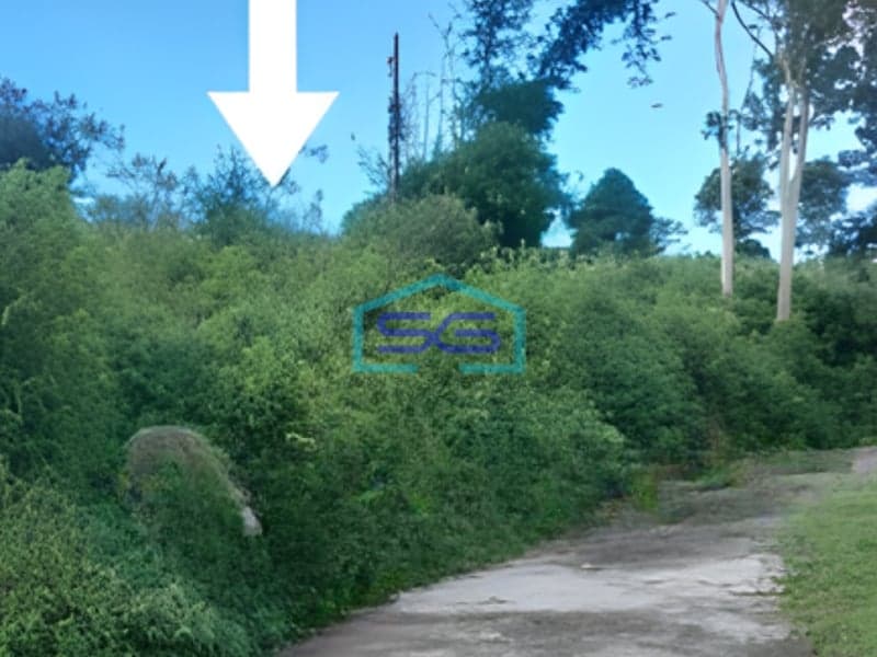 Dijual Tanah Lokasi Bebas Banjir di Ciajur Jawa Barat Luas 12835 m²