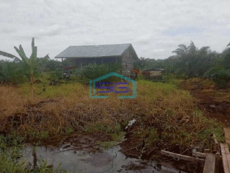 Dijual Tanah Kebun Sawit 263Ha Di Pelalawan Riau