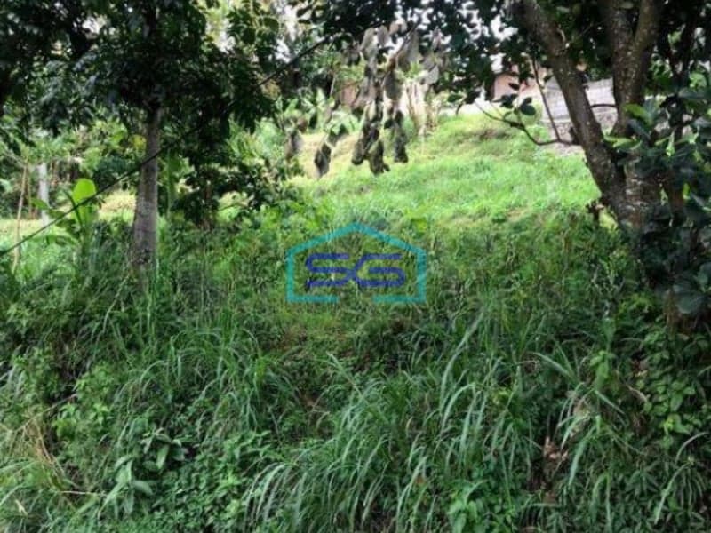 Dijual Tanah Di Cipulus Cilengkrang Bandung LT 1849m2