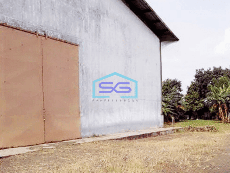 Dijual Gudang LT 1 Ha Ex Pabrik Kayu Pasar Kemis Cikupa Tangerang