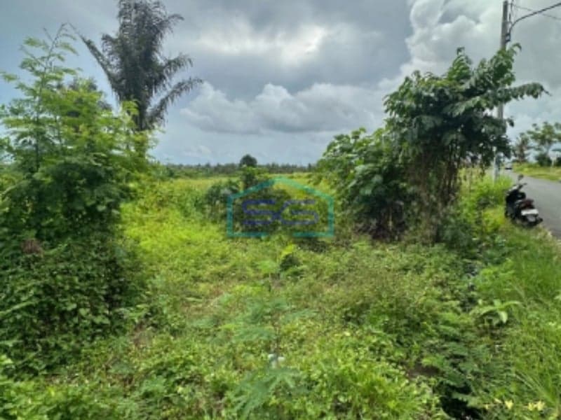 Dijual Tanah di Pinggir Jalan Utama Cocok Usaha Kantor Ubud Gianyar Bali