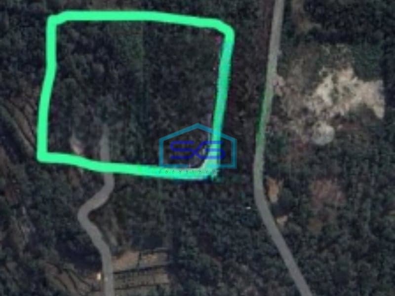 Dijual Tanah di Gunung Kidul Wonosari Kec Ngawen Gunung Kidul Yogyakarta LT 4881m2