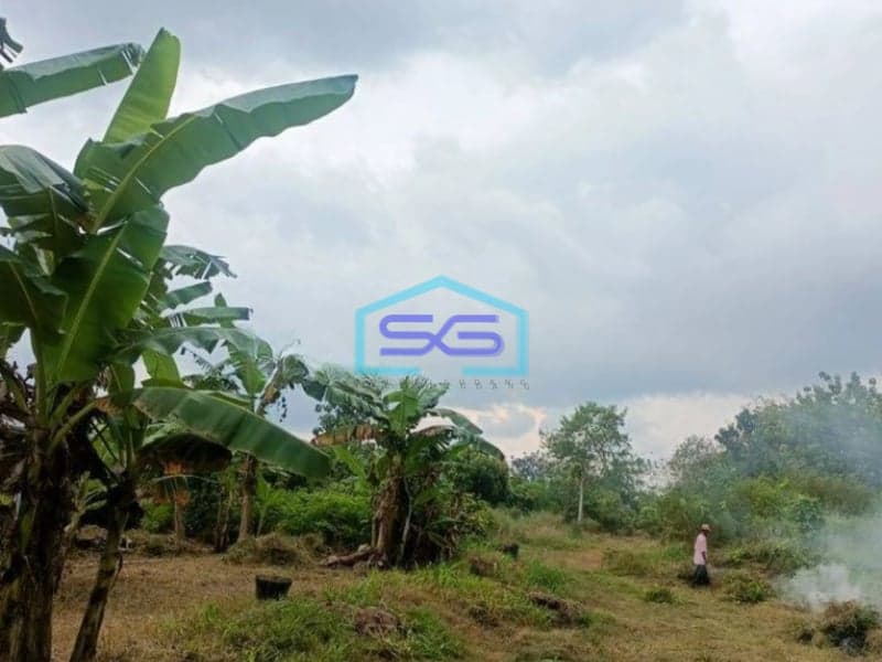 Dijual Tanah Murah Pinggir Jalan di Bantul Yogyakarta LT 3500m2