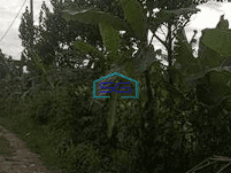 Dijual Tanah di Bintaro Exchange Tangerang Selatan Luas 16000m2