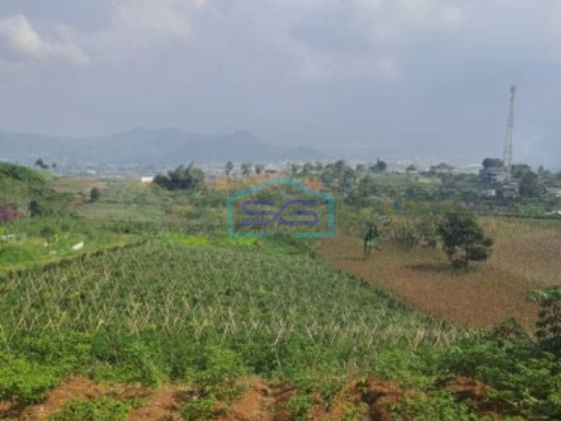 Dijual Tanah Lahan Bagus Sukaresmi Cianjur Luas Tanah 220000m2