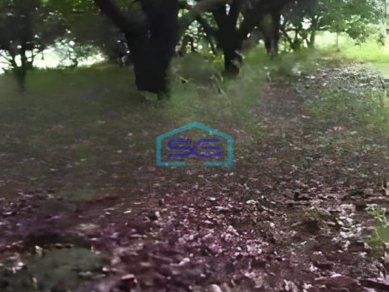 Dijual Tanah Luas 5800 m² Lokasi Boyolali Jawa Tengah