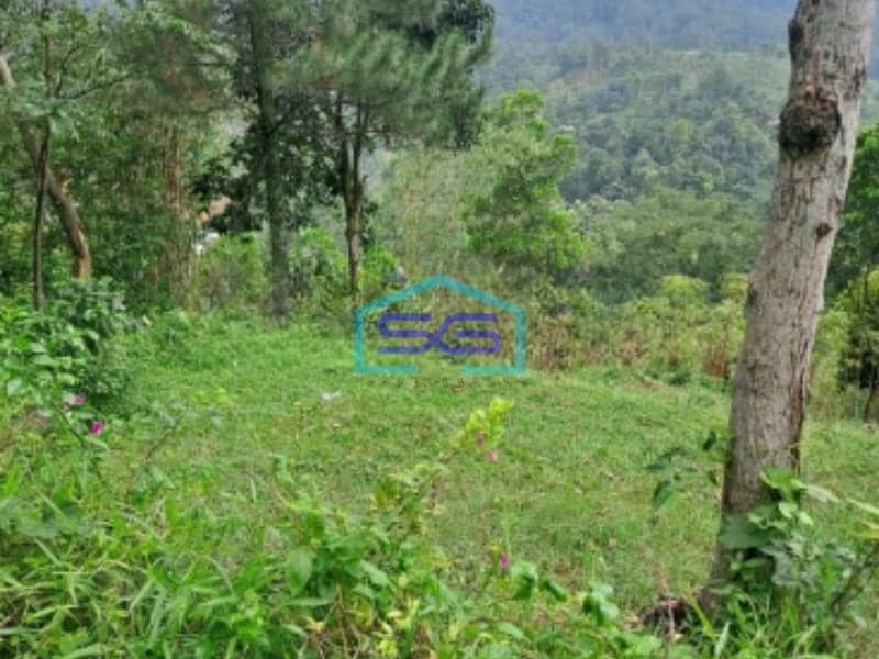 Dijual Tanah di Desa Karang Tengah Sentul City Bogor Luas Tanah 20000m2