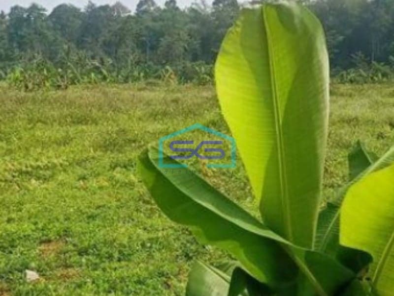 Dijual Tanah Strategis Di Zona Industri KPI Bergas Semarang LT 420000m2