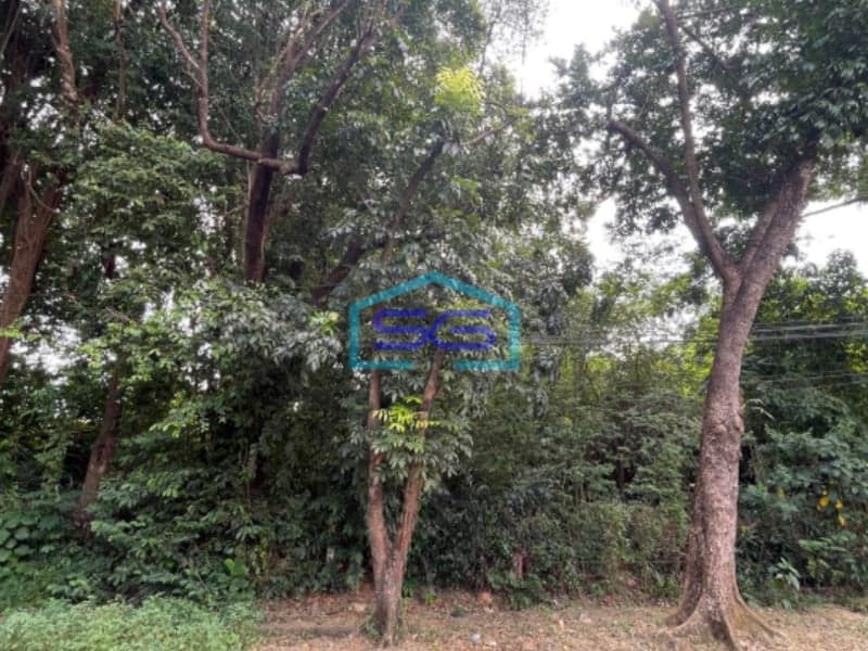 Dijual Tanah di Jalan MP Mangkunegara – Kenten Palembang Luas Tanah 1740m2