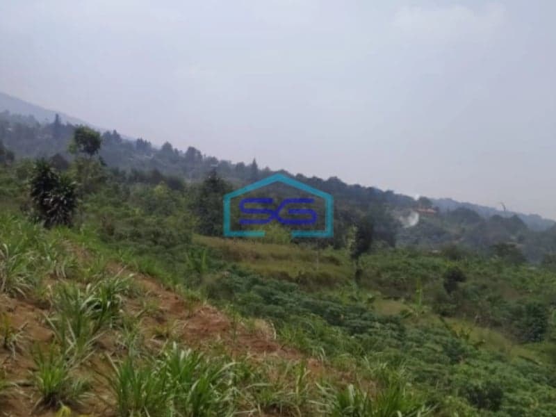 Dijual Tanah di Tugu Jaya Cigombong Bogor Luas Tanah 31000m2