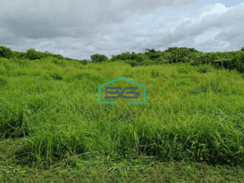 Dijual Tanah Luas 6170 m² Bisa Akses Container di Jl.Raya  Dadap Jakarta Utara