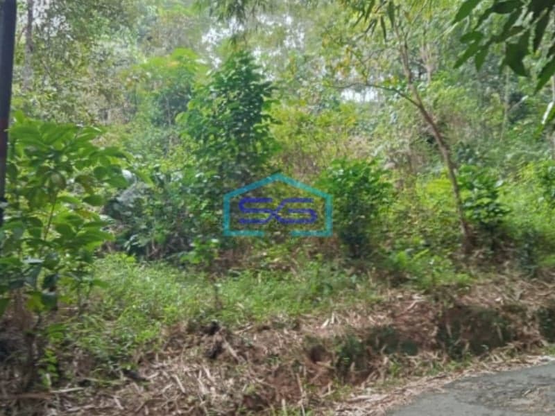 Dijual Tanah Di Karyasari Leuwiliang Bogor Luas Tanah 5500m2