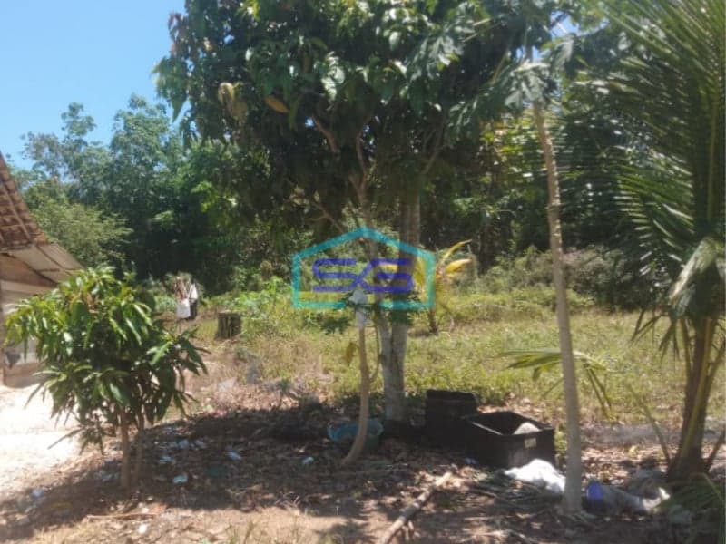 Dijual Tanah Strategis di Palembang Sumatera Selatan Luas 50000m2