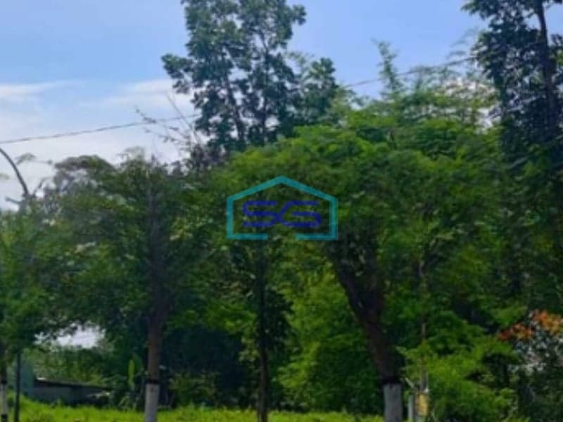 Dijual Tanah Luas 3000 m² Lokasi Strategis di Batu Jawa tengah