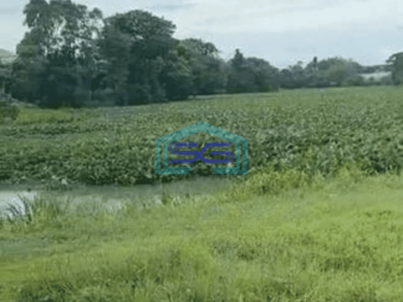 Dijual Lahan Cocok Untuk Gudang di Curug Tangerang