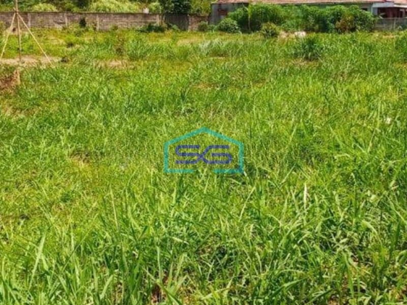 Dijual Tanah di pinggir Jalan Raya Cibadung Gunung Sindur Bogor LT 5568m2