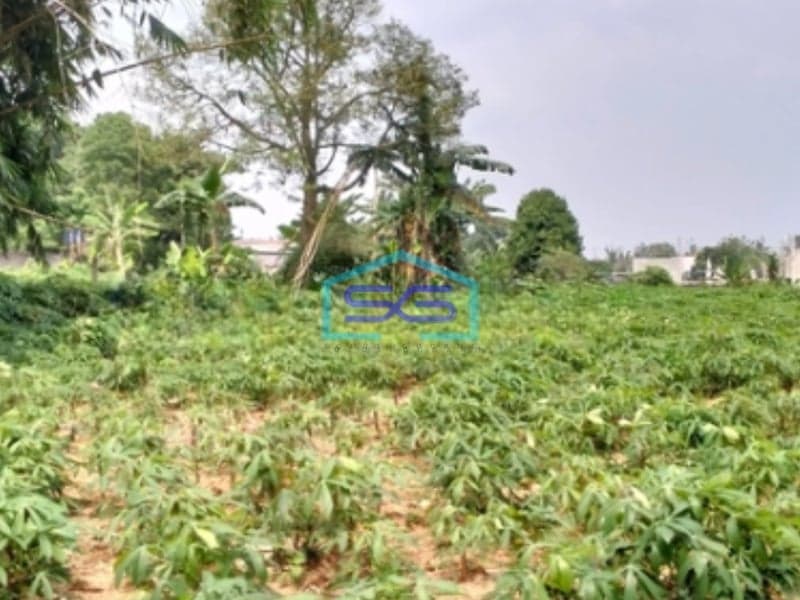 Dijual Tanah Bagus Strategis Di Tajur Halang Bogor Bebas Banjir