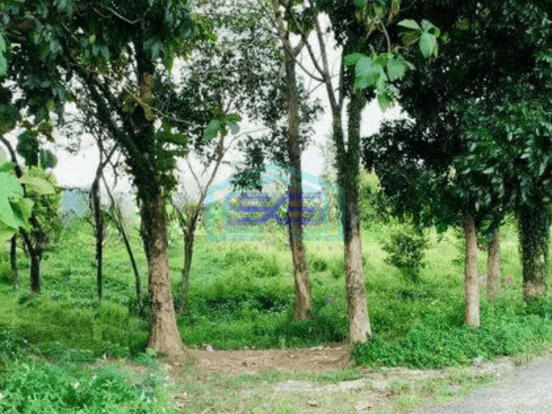 Dijual Tanah di Hambalang Bogor SHM Cocok Untuk Cafe Villa Panti