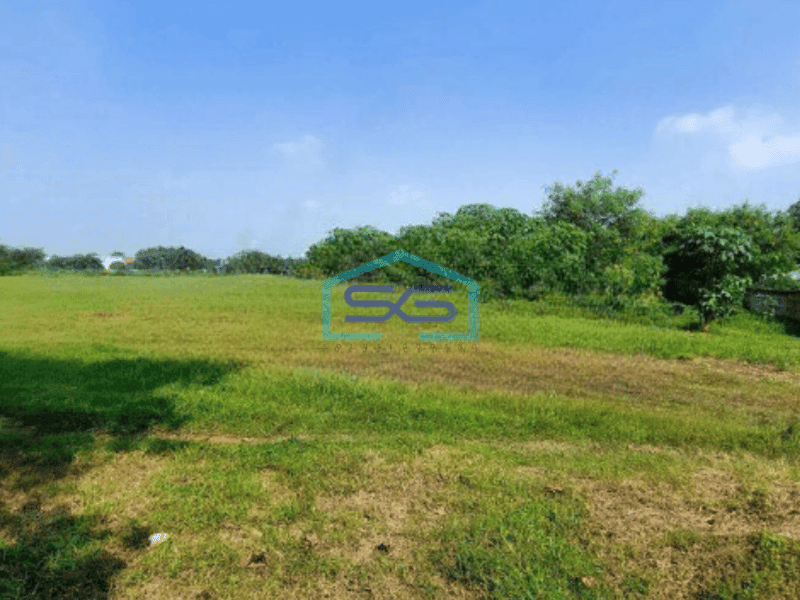 Dijual Tanah 7,5 Hektar Di Raya Pemda Tigaraksa Tangerang  Harga Nego