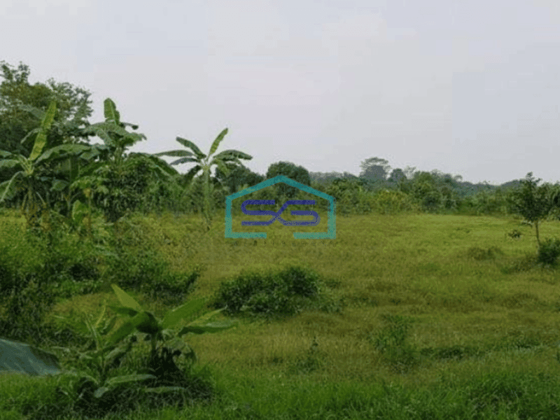 Dijual Tanah di Rumpin Bogor Luas Tanah 4011 m²