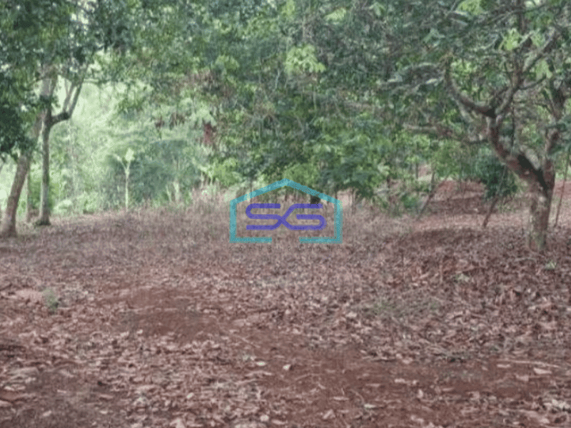 Dijual Tanah Lokasi Strategis di Subang Luas Tanah 500000 m²