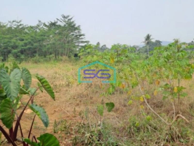 Dijual Tanah Kontur Datar Kemang Pabuaran Bogor Luas Tanah 30000m2