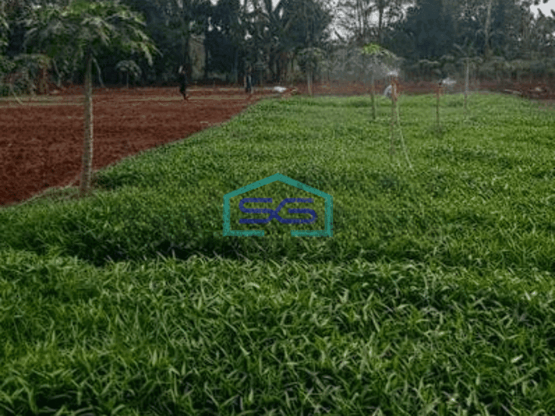 Dijual Tanah cCocok Untuk Industri Kecil, Masuk Truk di Gunung Sindur Bogor LT 2000m2