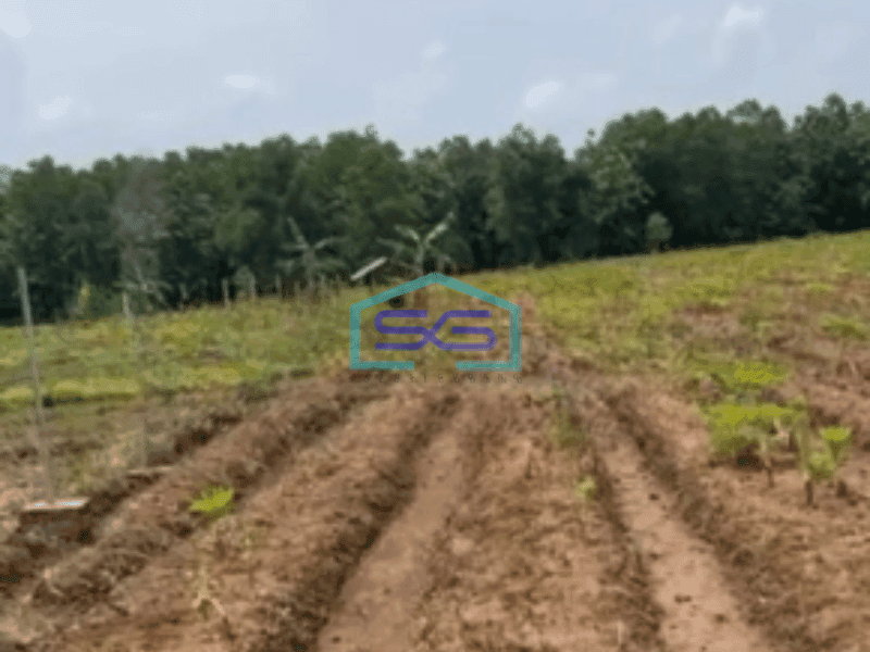 Dijual Tanah di Kertajati Jawa Barat Luas Tanah 30000 m²