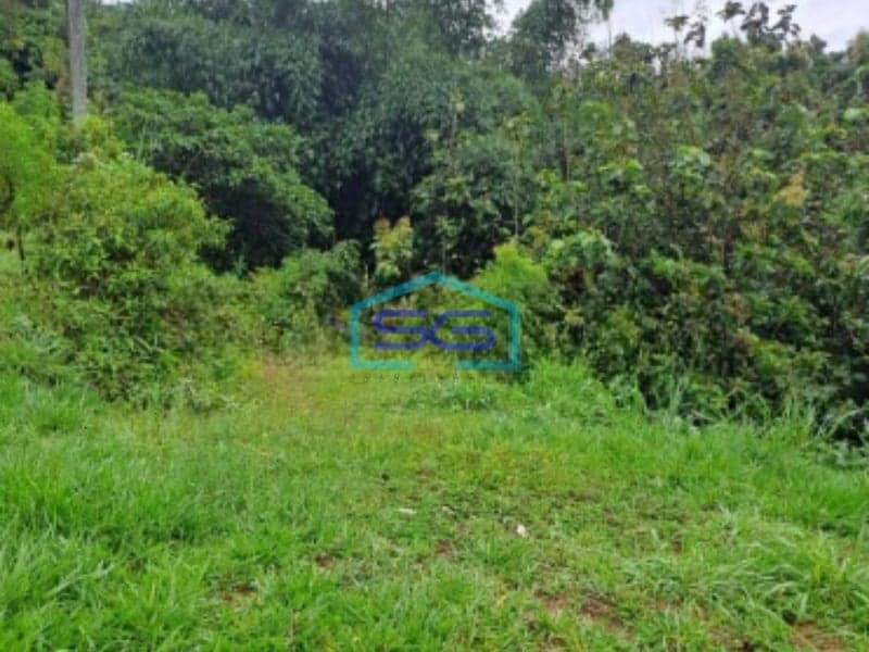 Dijual Tanah Pasir Angin Lahan Bagus di Megamendung Bogor LT 3000m2