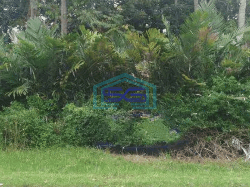 Dijual Tanah bagus di jumantono, arah ke tawangmangu