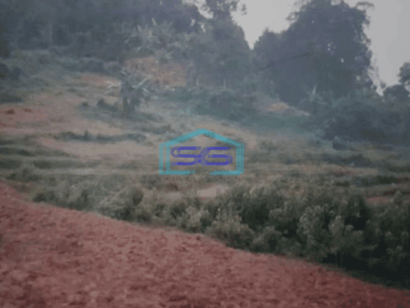 Dijual Tanah Di Jonggol Bogor Luas Tanah 20000 m²