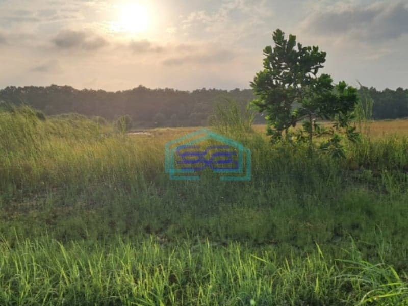 Dijual Tanah Industri Siap Bangun DI Artha Industrial Hill Karawang Jawa Barat Luas Tanah 15000 m²