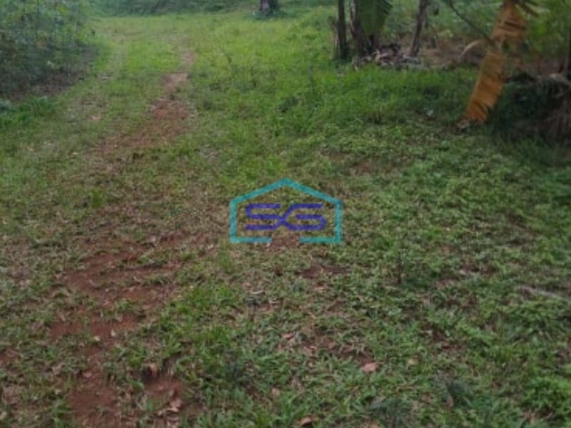 Dijual Tanah Lokasi Strategis Di Leuwiliang Bogor Luas 50000m2 Bebas Banjir