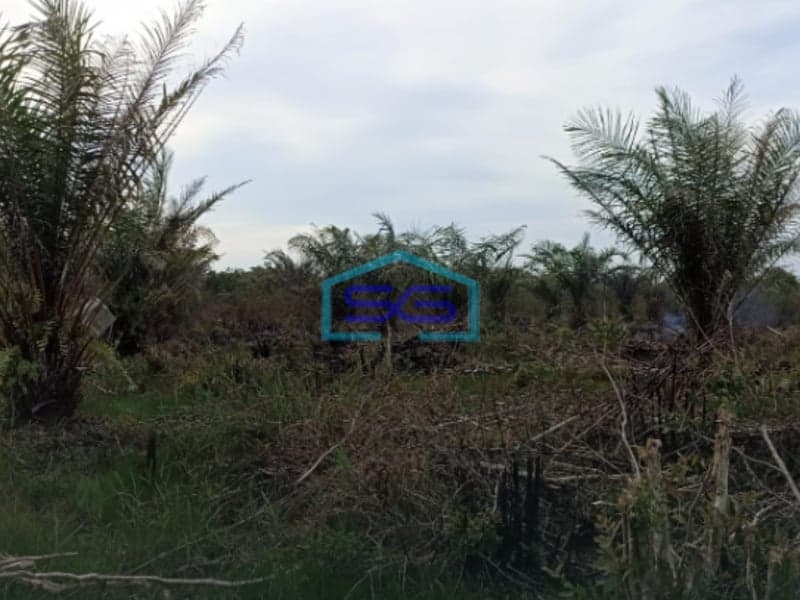Dijual Lahan Tanah Dusun Parit Indralaya Utara Kab Ogan Ilir Sumatera Selatan LT 45000m2