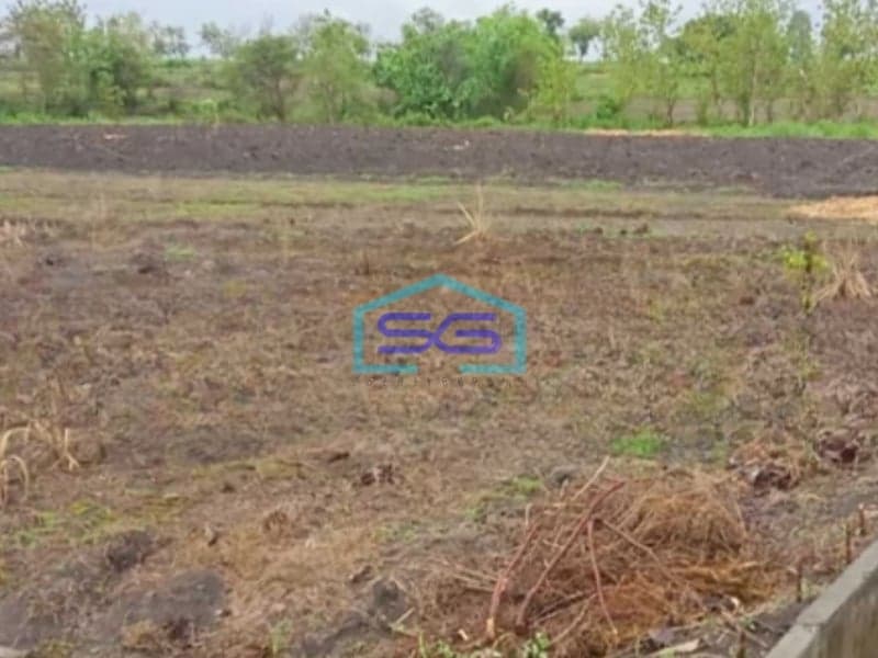 Dijual Tanah Luas 12920 m² Lokasi Bojonegoro