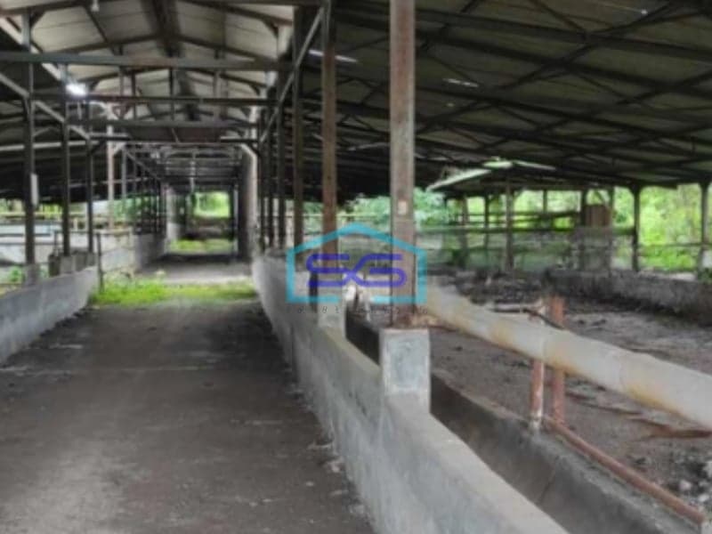 Dijual Tanah Seluas 23 Hektar Bebas Banjir Lokasi di Cariu Bogor