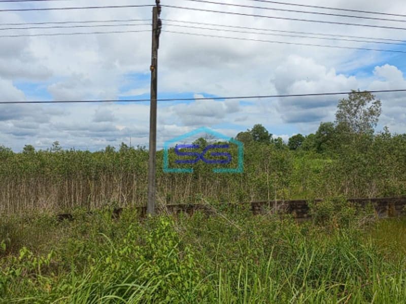 Dijual Tanah Murah Jalan Tanjung Api Api KM 9 Banyuasin Sumatera Selatan Luas 10 Ha