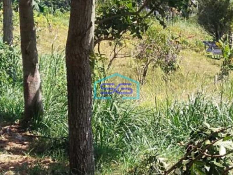 Dijual Tanah Lokasi di Cilengkrang Cileunyi Bandung Luas Tanah 2045m2