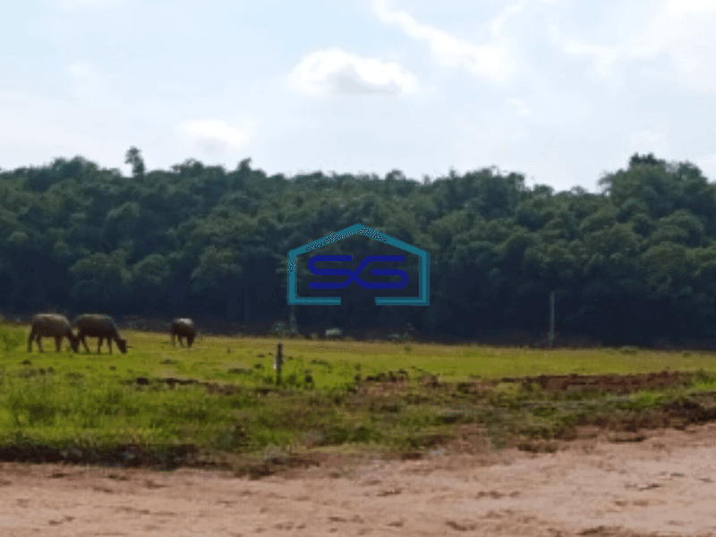 Dijual Murah Tanah Industri Luas 7000 m² di Cikupa Tangerang