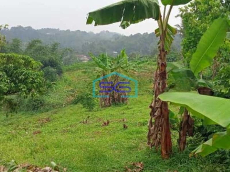 Dijual Tanah Di Cikidang Sukabumi Luas Tanah 30000m2 SHM