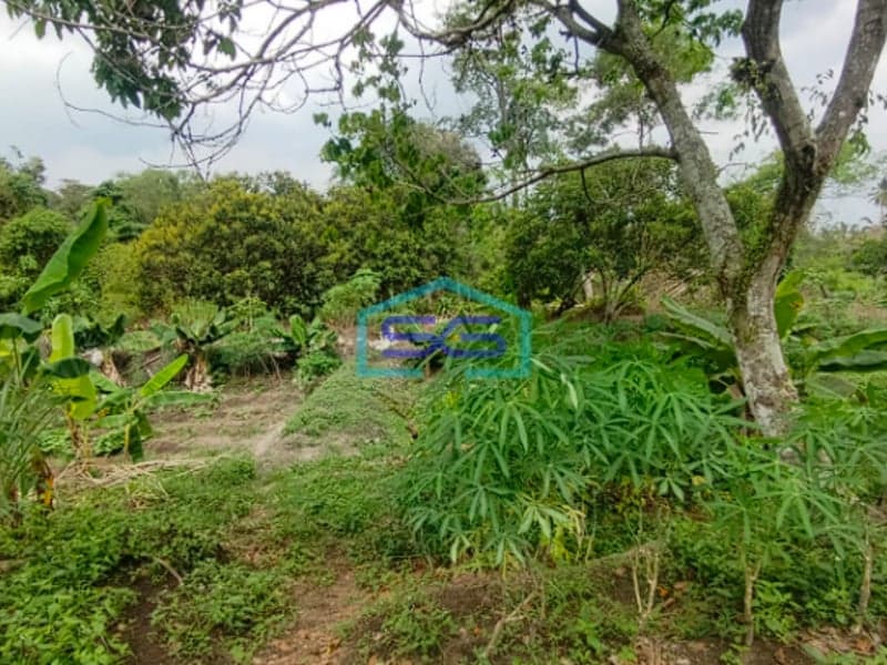 Dijual Strategis! Lahan Tanah di Samping Pabrik Talang Kelapa Banyuasin Sumatera Selatan LT 1 Ha