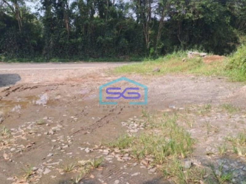 Dijual Tanah di Jalan Raya Rancabungur Bogor Luas Tanah 12000m2